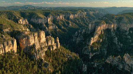 Experience a breathtaking aerial view of a rugged canyon landscape bathed in warm sunlight, showcasing impressive cliff formations and lush green forests in nature's beauty.の素材