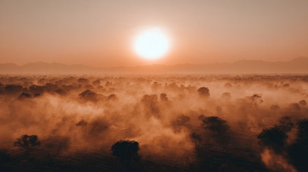 Experience the tranquil beauty of a sunrise over a misty landscape, featuring silhouetted trees and rolling hills, capturing the serenity of early morning light.の素材