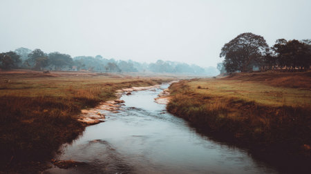 This tranquil landscape features a gentle river winding through a misty meadow, surrounded by serene trees. The early morning light creates a peaceful atmosphere, ideal for nature lovers.の素材