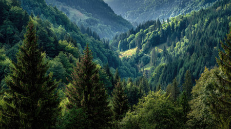 A breathtaking view of a lush green forest valley surrounded by majestic mountains. Sunlight streams through the trees, creating a peaceful and serene atmosphere.の素材