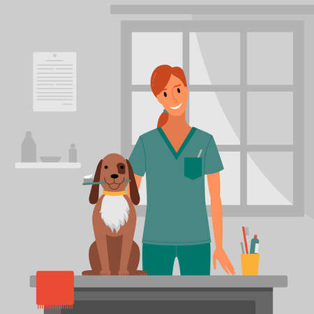 Dog brushing in the salon.のイラスト素材