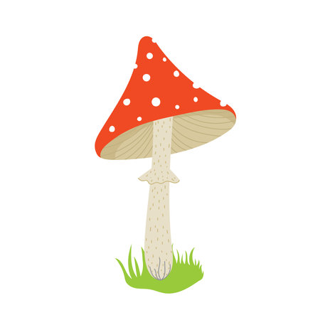 Cartoon fly agaric.のイラスト素材