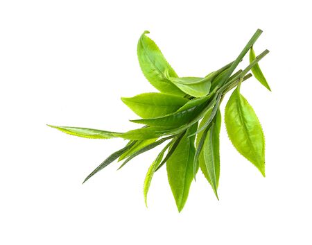 Young green tea leaves Isolated on a white background. Top viewの写真素材