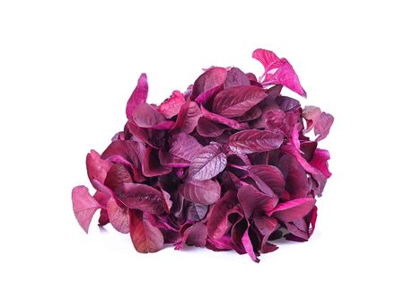 Fresh red spinach isolated on white background.