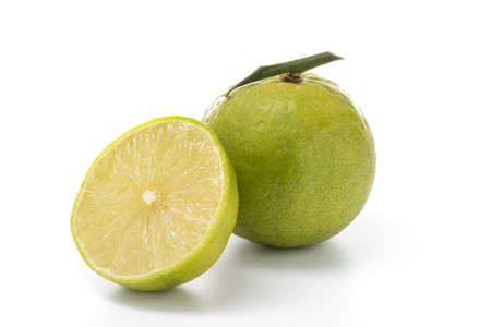 limes on white background