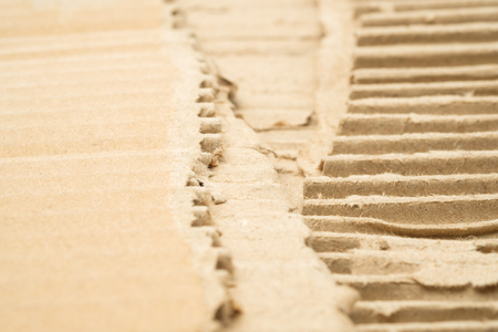 torn cardboard in shallow focusの写真素材