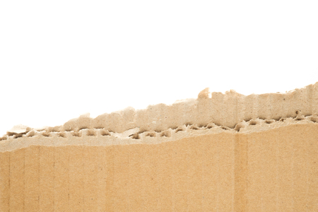 torn cardboard with white background, torn corrugated paper with white spaceの写真素材
