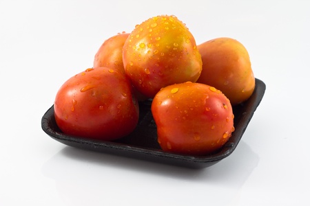 Fresh tomatoの写真素材