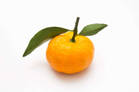 orange on a white backgroundの写真素材