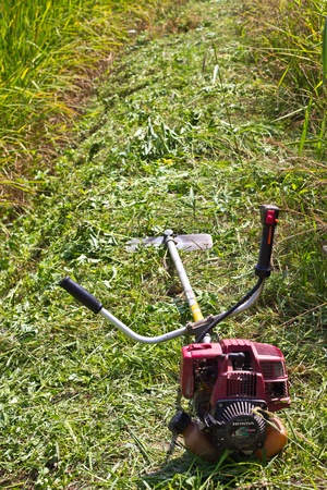 brush cuttingの写真素材