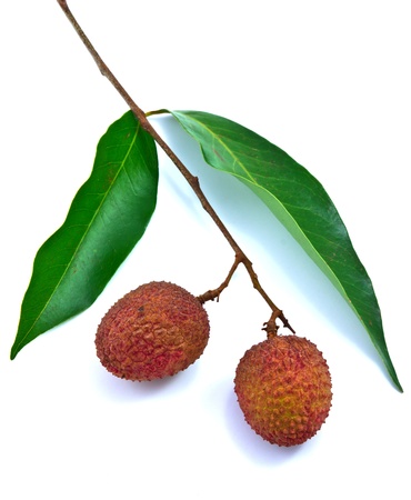 Fresh lychees isolated on whiteの写真素材