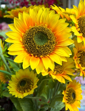 plastic sunflowerの写真素材