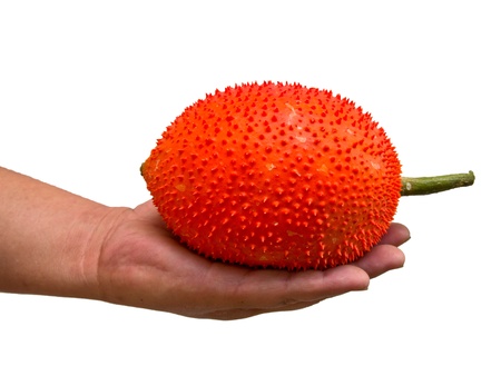 Baby Jackruit