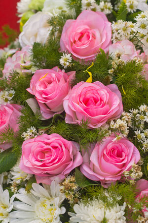 Pink fabric roses,Fake textile roses close-up floral backgroundの写真素材