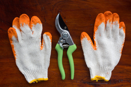 Pruning Shears and gloves on wooden background