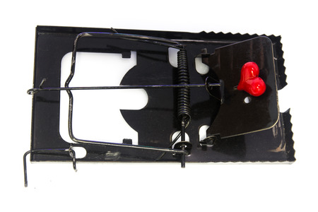 red heart and mousetrap for love conceptの写真素材