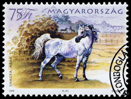 HUNGARY - CIRCA 2006: A stamp printed in Hungary shows hungarian horse, circa 2006のeditorial素材