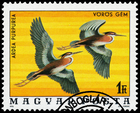 HUNGARY - CIRCA 1976: A stamp printed in Hungary shows Purple heron - Ardea purpurea, series Birds, circa 1976のeditorial素材