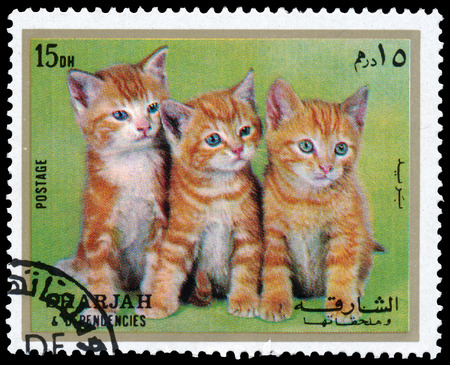 SHARJAH AND DEPENDENCIES, UAE - CIRCA 1972: Stamps printed in Sharjah and Dependencies (United Arab Emirates) shows kittens, circa 1972のeditorial素材