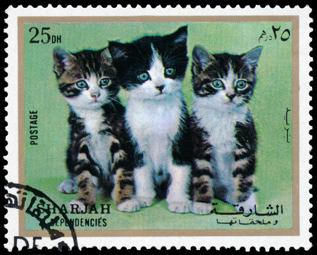 SHARJAH AND DEPENDENCIES, UAE - CIRCA 1972: Stamps printed in Sharjah and Dependencies (United Arab Emirates) shows European kittens, circa 1972のeditorial素材