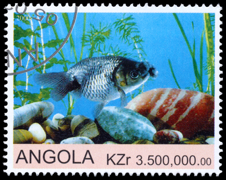 Stamp printed by Angola Shows Goldfishのeditorial素材