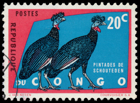 REPUBLIC OF CONGO Democratic - CIRCA 1963: a stamp printed in Congo crested Tuesday guineafowl Showsのeditorial素材
