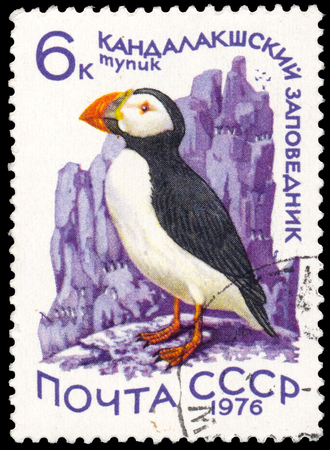 RUSSIA - CIRCA 1976: a stamp printed in Russia shows bird Atlantic puffinのeditorial素材