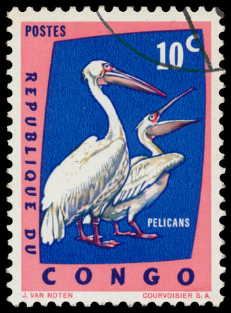 REPUBLIC OF CONGO Democratic - CIRCA 1963: a stamp printed in Congo Shows Great white pelicansのeditorial素材