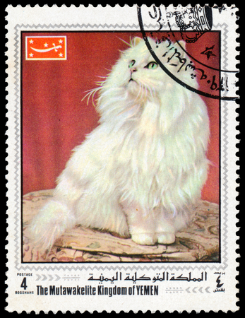 BUDAPEST, HUNGARY - 01 march 2016:  a stamp printed in Yemen, shows cat, circa 2009のeditorial素材