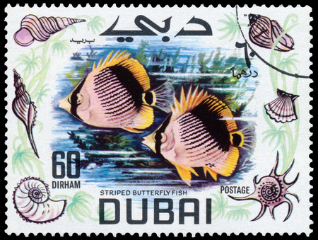 BUDAPEST, HUNGARY - 01 march 2016:  a stamp printed in the Dubai shows shows Striped Butterfly Fish, circa 1969のeditorial素材