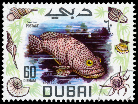 BUDAPEST, HUNGARY - 01 march 2016:  a stamp printed in the Dubai shows shows Spotted Grouper fish - Cephalopholis argus, circa 1969のeditorial素材