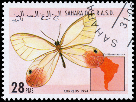 BUDAPEST, HUNGARY - 01 march 2016:  a stamp printed in Sahara OCC. R.A.S.D shows butterfly, circa 1994のeditorial素材