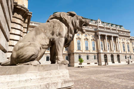 BUDAPEST, HUNGARY - APRIL 24, 2020: Buda castle (Royal Palace) inner courtyard, Budapest, Hungaryのeditorial素材
