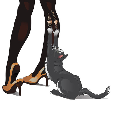 The cat is tearing the stockings vector illustrationのイラスト素材