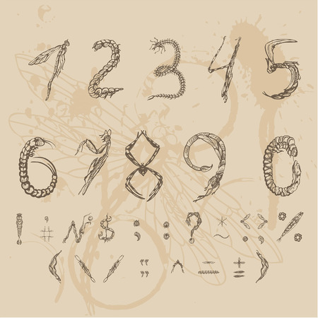 font Insects in the form of modified spiders flies and butterflies, changed, cookie spiders, flies, butterflies, grasshoppers in the form of letters for the alphabetのイラスト素材