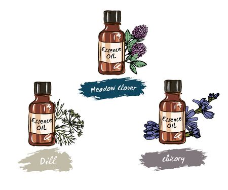 Hand drawn set of essential oils,  Medicinal herb with glass dropper bottle, Good for cosmetics, medicine, treating, aromatherapy, package design health care, Isolated objects on white background.&#xD;&#xA;のイラスト素材