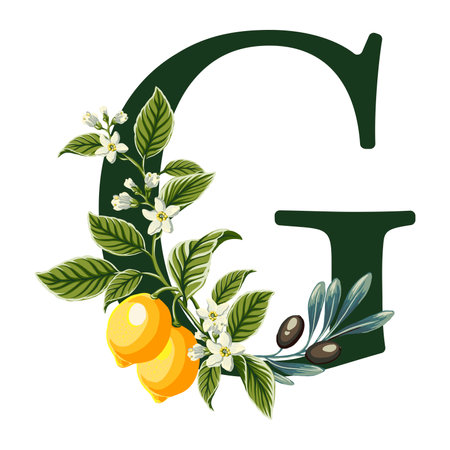 letter G from Alphabet with lemons and olive branches illustration. Perfect graphics for wedding invitations, greeting cards, logos, posters and more.のイラスト素材