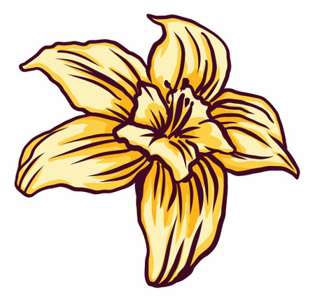 elements for design with vanilla flowers, packaging design, textiles, lantern, paper, tablewareのイラスト素材