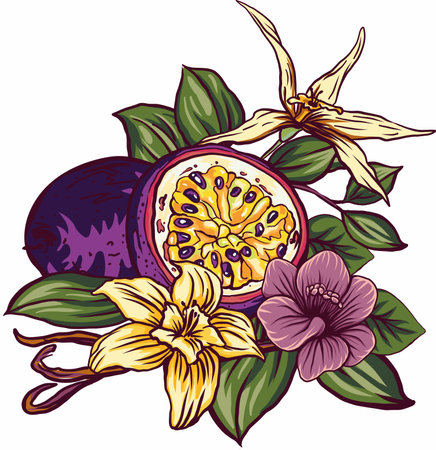 elements for design passion fruit with flowers and vanilla, packaging design, textiles, lantern, paper, tablewareのイラスト素材