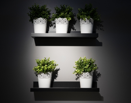 Many type of plant in the pots placed on the shelfの写真素材