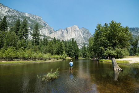 Idyllic stream in Yosemite Valley, Yosemite National Park, Summer Vacation, USAの写真素材