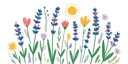 illustration of hand drawn lavender flowers and sun on white backgroundの写真素材