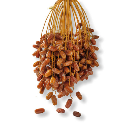 Dates on a white background. The concept of healthy eating.