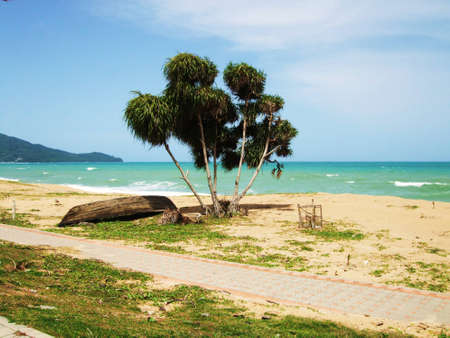 abandoned wooden boat on a sandy beach.の写真素材
