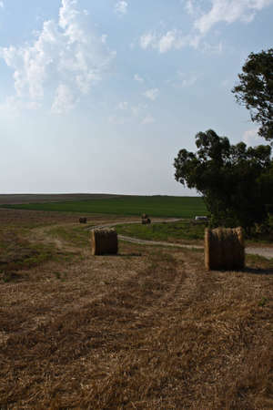 Hay Balesの写真素材