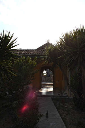 Dark Walkwayの写真素材