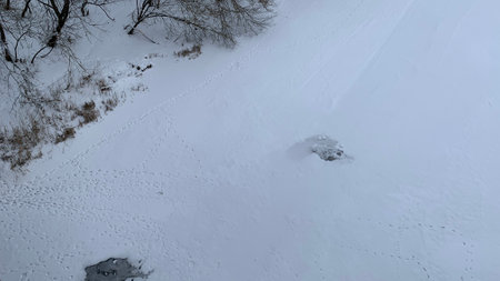 Animal footprints in the snow. Forest birds and wild animals left their footprints in the snow