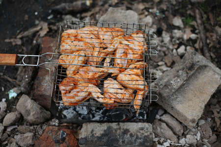 Metal grill for barbecue. Shish kebab in marinade is cooked on the grill. Fried chicken meat with spices on a fire in the forestの写真素材
