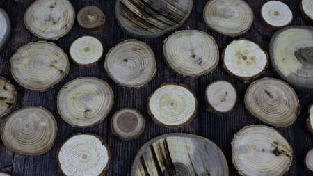 Decorative sawn logs, woody background for text, flat wood circles, drink holder