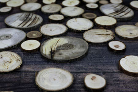 Decorative sawn logs, woody background for text, flat wood circles, drink holderの写真素材